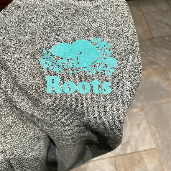 Roots Gray Joggers with Teal Logo - Picture 6 of 7